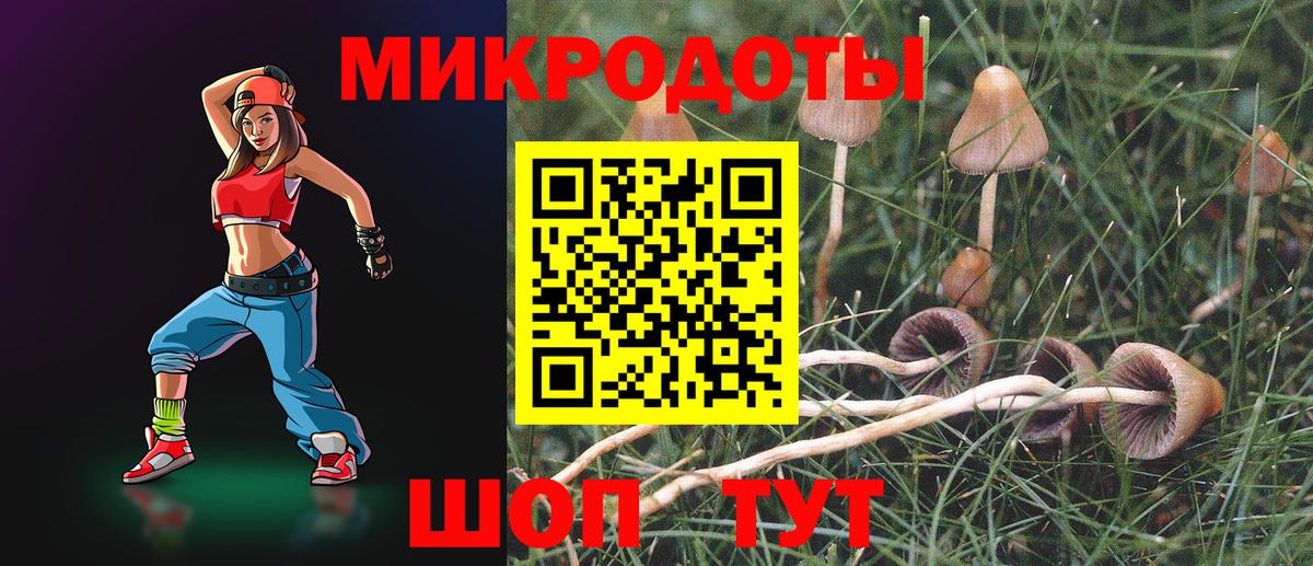Псилоцибиновые грибы Psilocybine cubensis  Вход с VPN  Берёзовский 