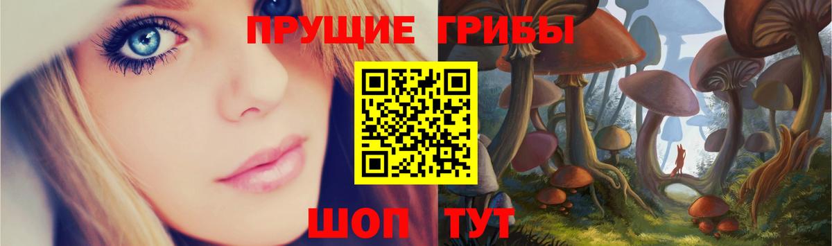 Псилоцибиновые грибы GOLDEN TEACHER  Берёзовский 