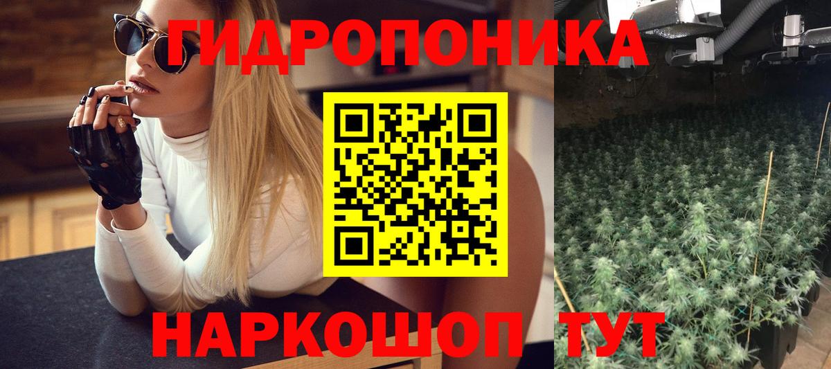 Конопля Ganja Берёзовский